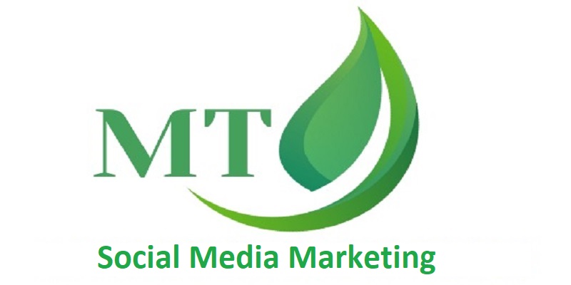 MT Social Media Marketing Spread Your Social Wings